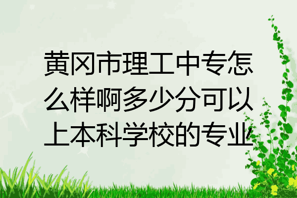 黄冈市理工中专怎么样啊多少分可以上本科学校的专业