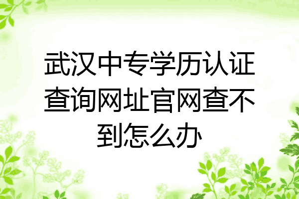 武汉中专学历认证查询网址官网查不到怎么办