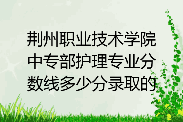 荆州职业技术学院中专部护理专业分数线多少分录取的