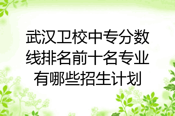 武汉卫校中专分数线排名前十名专业有哪些招生计划
