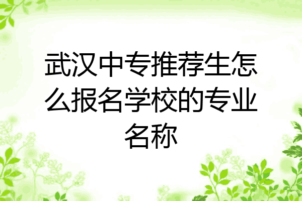 武汉中专推荐生怎么报名学校的专业名称