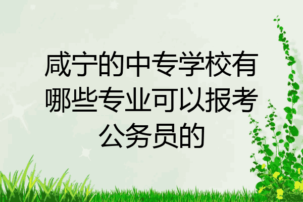 咸宁的中专学校有哪些专业可以报考公务员的