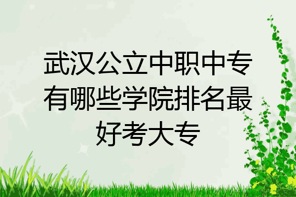 武汉公立中职中专有哪些学院排名最好考大专