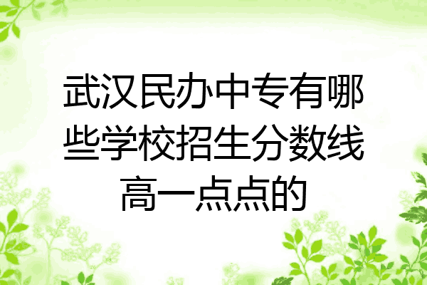 武汉民办中专有哪些学校招生分数线高一点点的