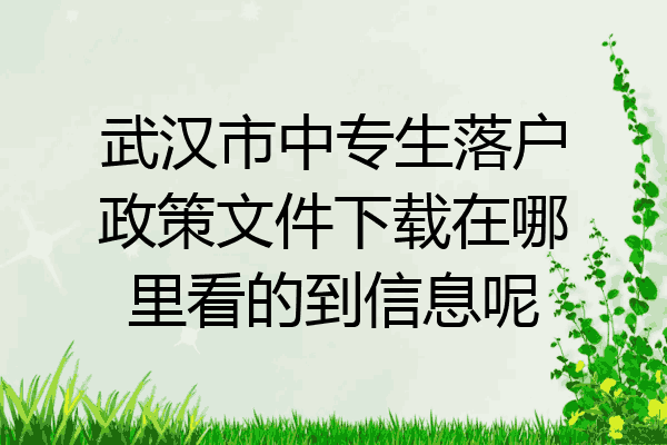 武汉市中专生落户政策文件下载在哪里看的到信息呢