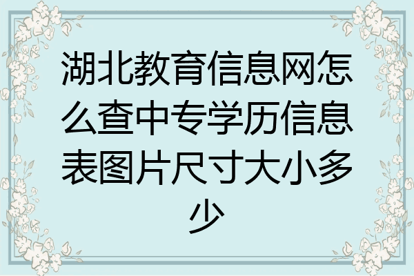 湖北教育信息网怎么查中专学历信息表图片尺寸大小多少