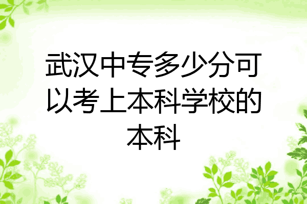 武汉中专多少分可以考上本科学校的本科