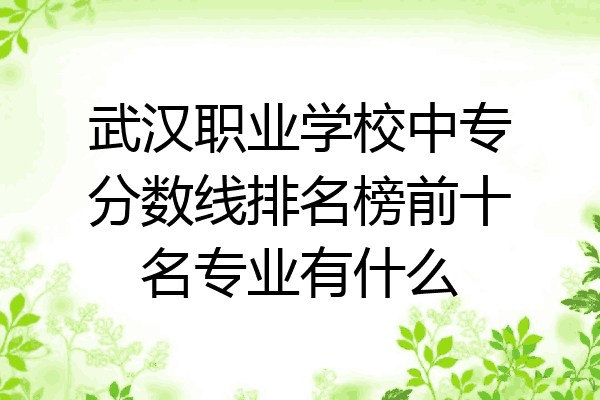 武汉职业学校中专分数线排名榜前十名专业有什么