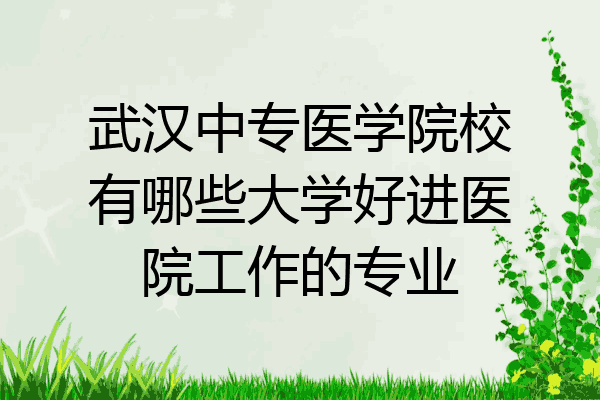 武汉中专医学院校有哪些大学好进医院工作的专业