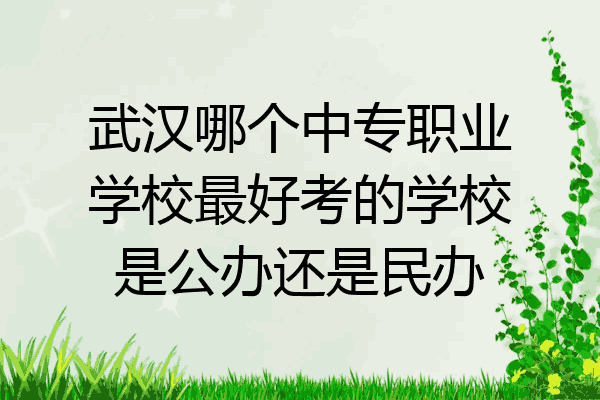 武汉哪个中专职业学校最好考的学校是公办还是民办