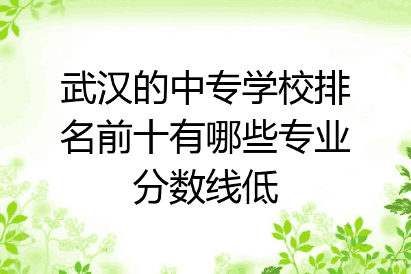 武汉的中专学校排名前十有哪些专业分数线低