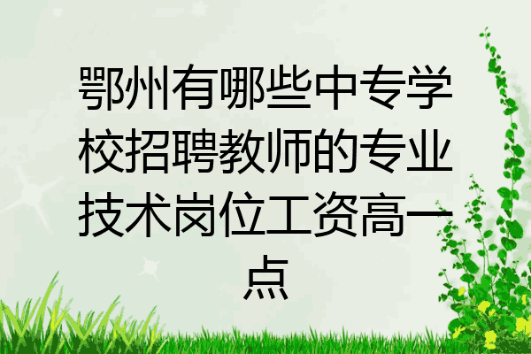 鄂州有哪些中专学校招聘教师的专业技术岗位工资高一点