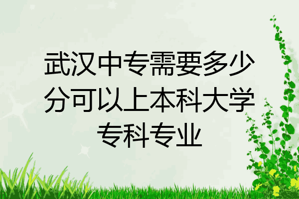 武汉中专需要多少分可以上本科大学专科专业