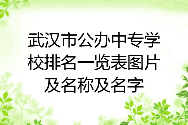 武汉市公办中专学校排名一览表图片及名称及名字