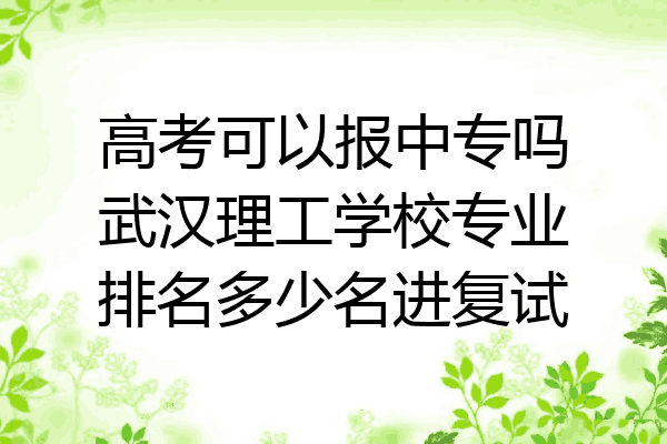 高考可以报中专吗武汉理工学校专业排名多少名进复试