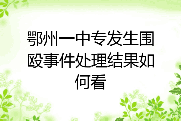 鄂州一中专发生围殴事件处理结果如何看