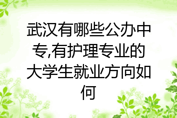 武汉有哪些公办中专,有护理专业的大学生就业方向如何