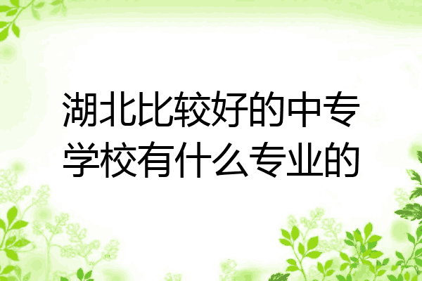 湖北比较好的中专学校有什么专业的