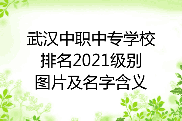 武汉中职中专学校排名2021级别图片及名字含义