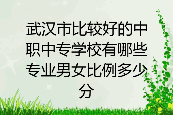 武汉市比较好的中职中专学校有哪些专业男女比例多少分