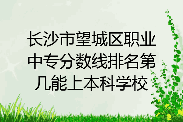 长沙市望城区职业中专分数线排名第几能上本科学校