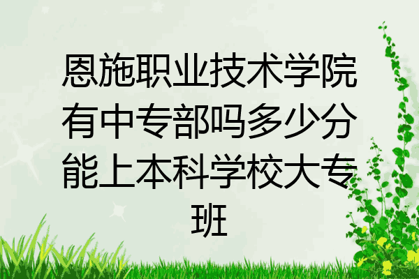 恩施职业技术学院有中专部吗多少分能上本科学校大专班