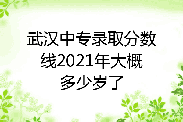 武汉中专录取分数线2021年大概多少岁了