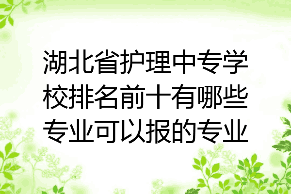 湖北省护理中专学校排名前十有哪些专业可以报的专业