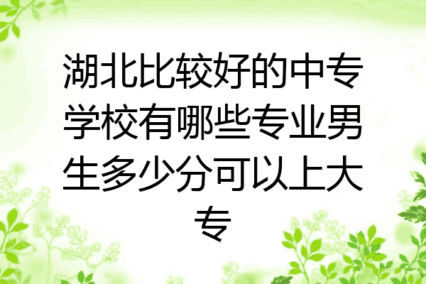 湖北比较好的中专学校有哪些专业男生多少分可以上大专