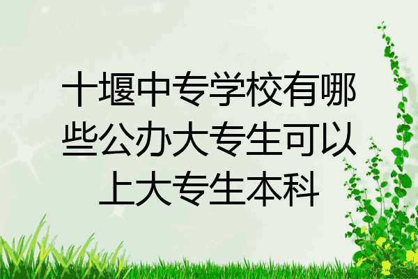 十堰中专学校有哪些公办大专生可以上大专生本科