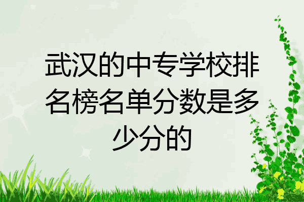武汉的中专学校排名榜名单分数是多少分的