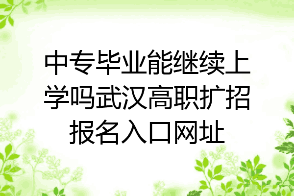 中专毕业能继续上学吗武汉高职扩招报名入口网址