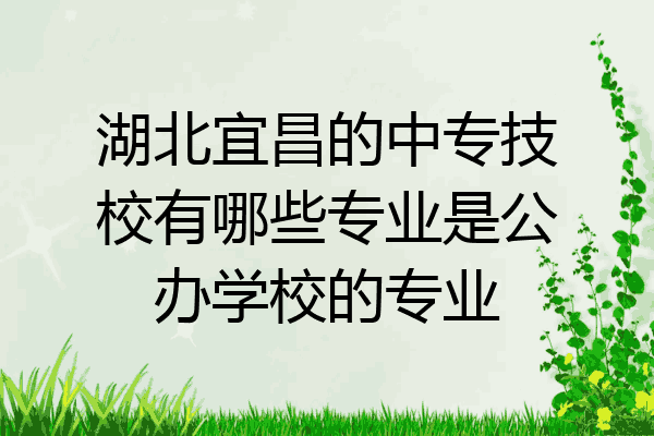 湖北宜昌的中专技校有哪些专业是公办学校的专业