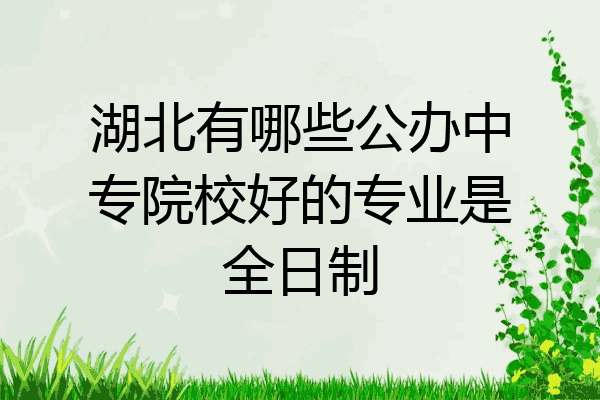 湖北有哪些公办中专院校好的专业是全日制