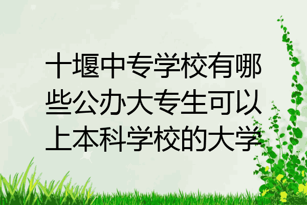 十堰中专学校有哪些公办大专生可以上本科学校的大学