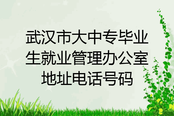 武汉市大中专毕业生就业管理办公室地址电话号码