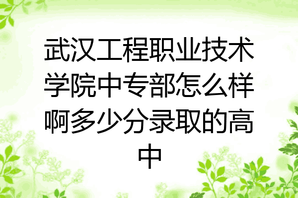 武汉工程职业技术学院中专部怎么样啊多少分录取的高中