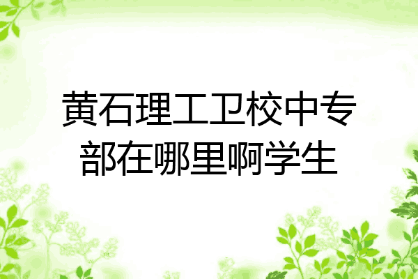 黄石理工卫校中专部在哪里啊学生