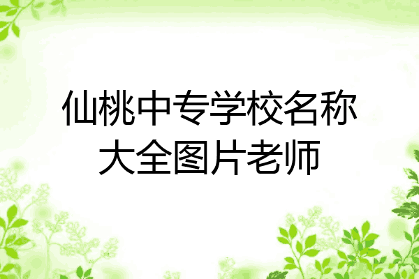 仙桃中专学校名称大全图片老师