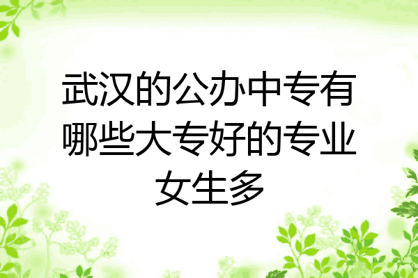 武汉的公办中专有哪些大专好的专业女生多