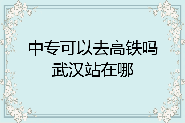 中专可以去高铁吗武汉站在哪