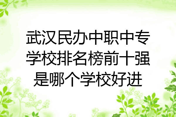 武汉民办中职中专学校排名榜前十强是哪个学校好进