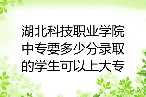 湖北科技职业学院中专要多少分录取的学生可以上大专
