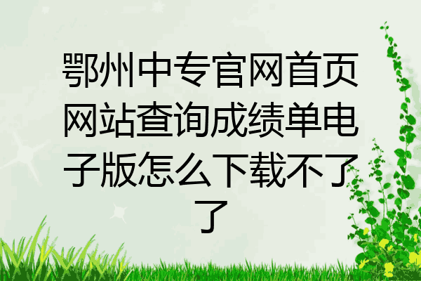 鄂州中专官网首页网站查询成绩单电子版怎么下载不了了