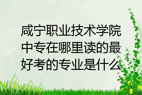 咸宁职业技术学院中专在哪里读的最好考的专业是什么