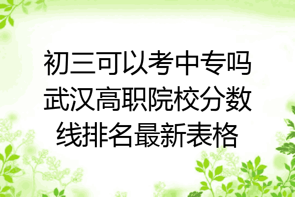 初三可以考中专吗武汉高职院校分数线排名最新表格