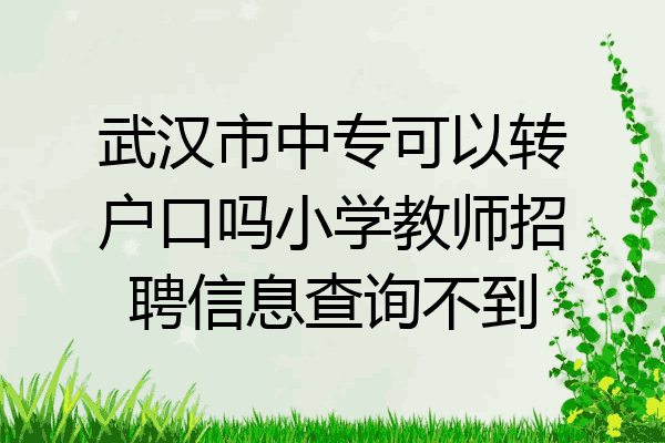武汉市中专可以转户口吗小学教师招聘信息查询不到