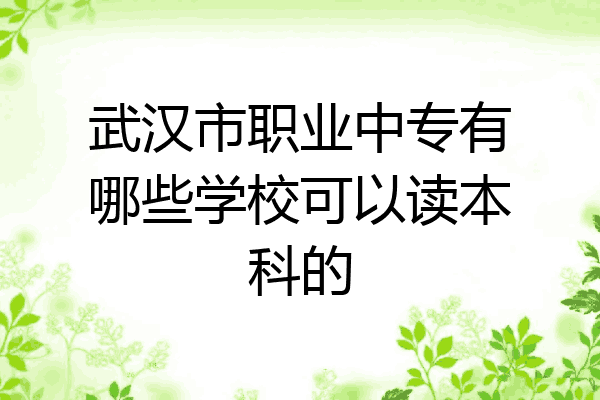 武汉市职业中专有哪些学校可以读本科的