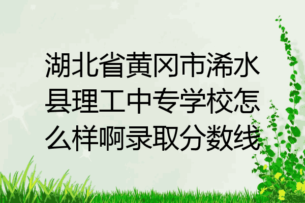 湖北省黄冈市浠水县理工中专学校怎么样啊录取分数线