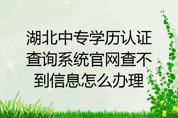 湖北中专学历认证查询系统官网查不到信息怎么办理